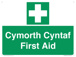 Cymorth Cyntaf First Aid in Welsh